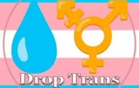 Drop Trans
